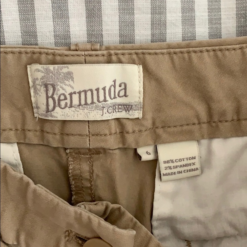 Shorts - Picture 2 of 3